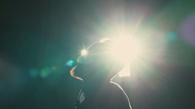 The Art of Slowing Down