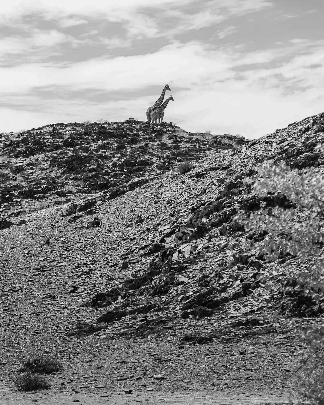 Echoes of Namibia 1