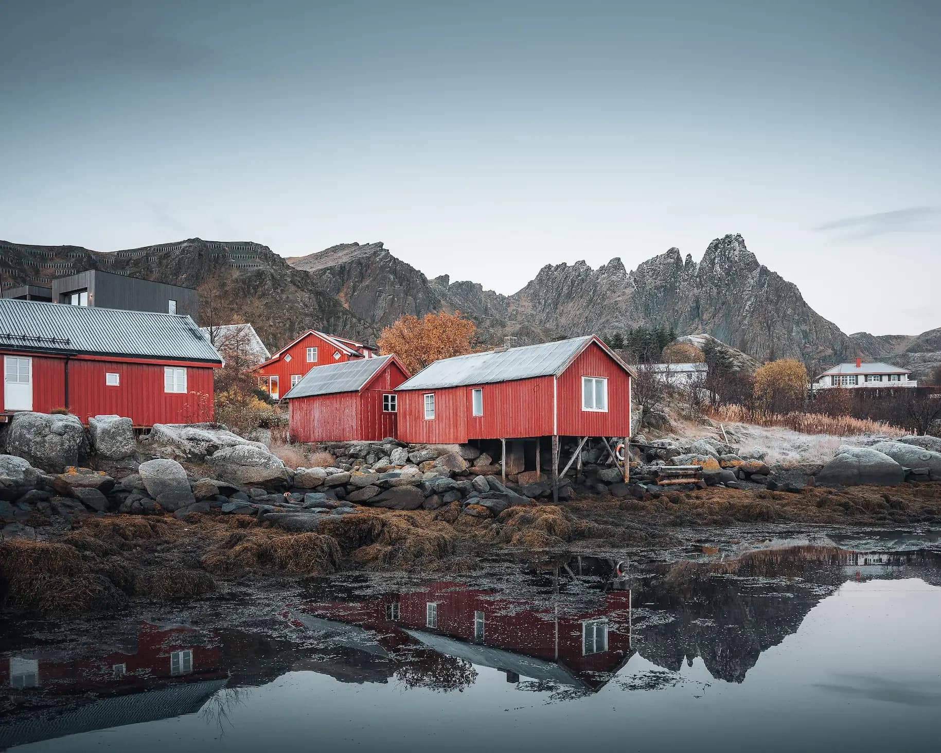 Stories from the Arctic 1