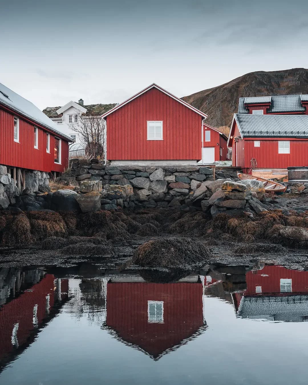Stories from the Arctic 1